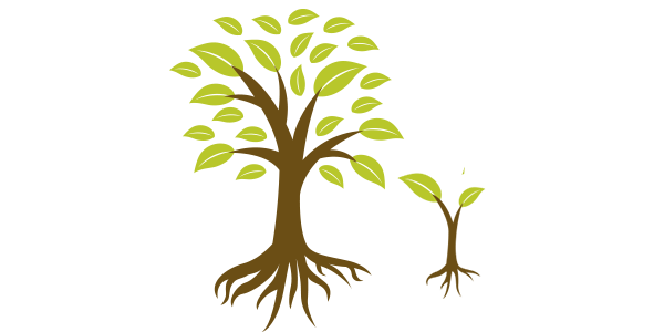 Árbol02