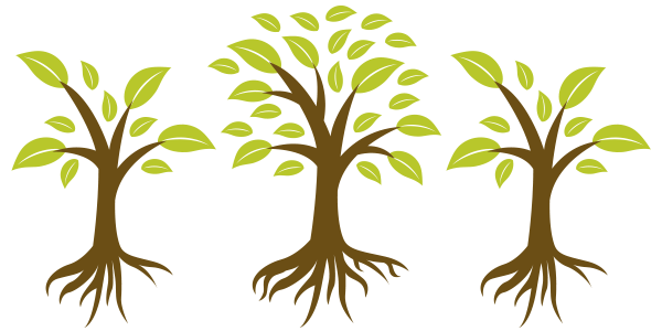 Árbol03